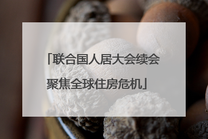 联合国人居大会续会聚焦全球住房危机