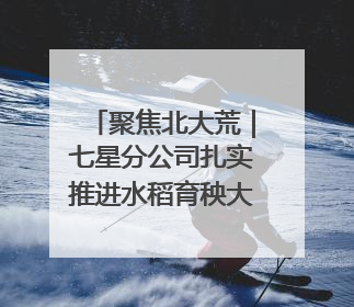 聚焦北大荒｜七星分公司扎实推进水稻育秧大棚基地清理整治工作
