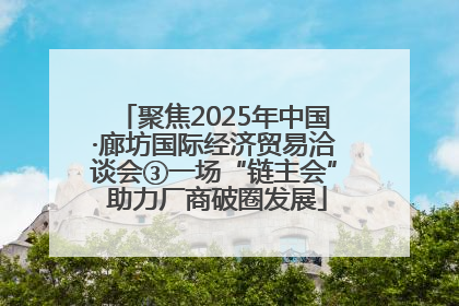 聚焦2025年中国·廊坊国际经济贸易洽谈会③一场“链主会” 助力厂商破圈发展