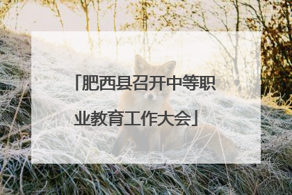 肥西县召开中等职业教育工作大会