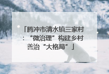 腾冲市清水镇三家村：“微治理”构建乡村善治“大格局”