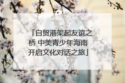 自贸港架起友谊之桥 中美青少年海南开启文化对话之旅