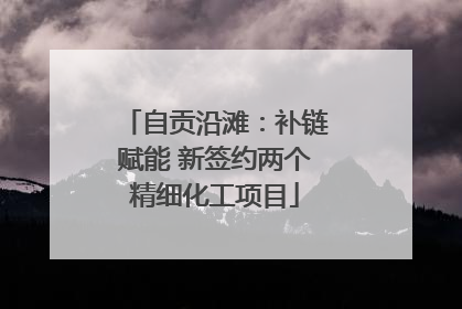 自贡沿滩：补链赋能 新签约两个精细化工项目