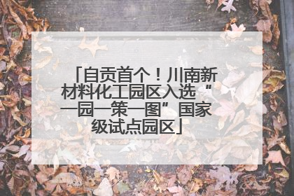 自贡首个！川南新材料化工园区入选“一园一策一图”国家级试点园区