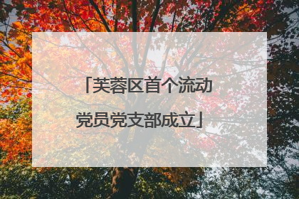 芙蓉区首个流动党员党支部成立
