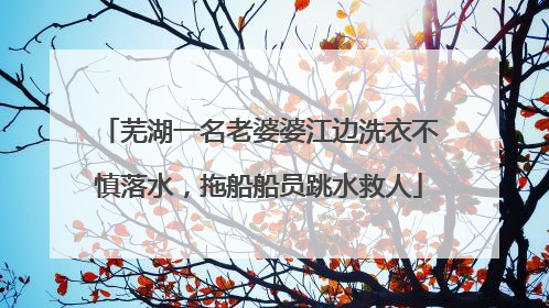 芜湖一名老婆婆江边洗衣不慎落水，拖船船员跳水救人
