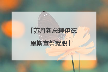 苏丹新总理伊德里斯宣誓就职