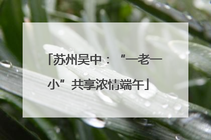 苏州吴中：“一老一小”共享浓情端午