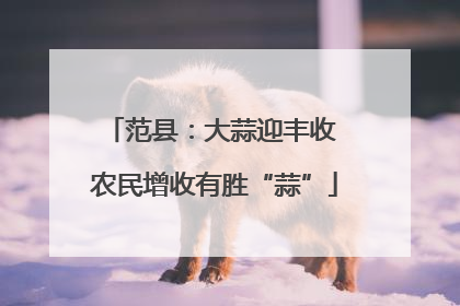范县：大蒜迎丰收 农民增收有胜“蒜”