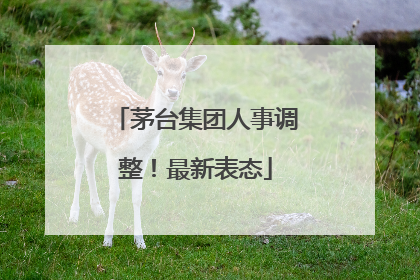 茅台集团人事调整！最新表态