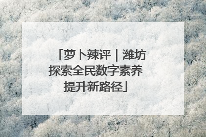萝卜辣评｜潍坊探索全民数字素养提升新路径