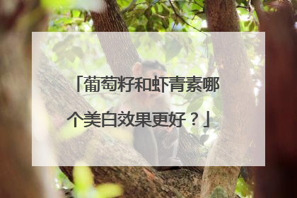 葡萄籽和虾青素哪个美白效果更好？