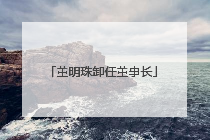 董明珠卸任董事长