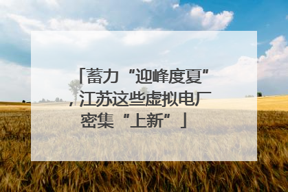 蓄力“迎峰度夏”，江苏这些虚拟电厂密集“上新”