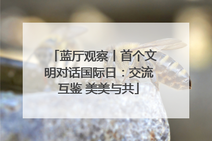 蓝厅观察丨首个文明对话国际日：交流互鉴 美美与共