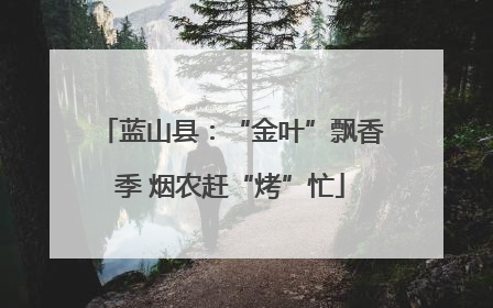 蓝山县：“金叶”飘香季 烟农赶“烤”忙