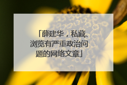 薛建华，私藏、浏览有严重政治问题的网络文章