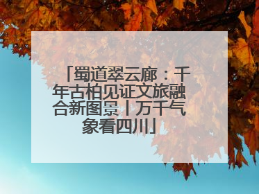 蜀道翠云廊：千年古柏见证文旅融合新图景丨万千气象看四川