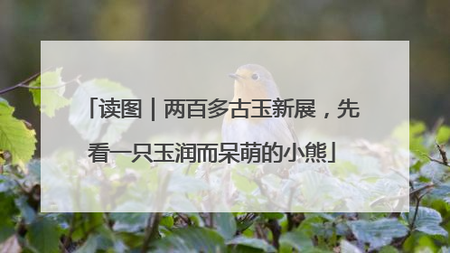 读图｜两百多古玉新展，先看一只玉润而呆萌的小熊