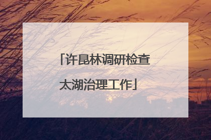许昆林调研检查太湖治理工作