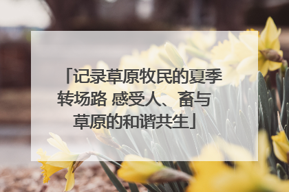 记录草原牧民的夏季转场路 感受人、畜与草原的和谐共生