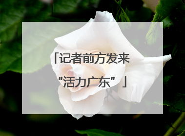 记者前方发来“活力广东”
