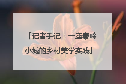 记者手记：一座秦岭小城的乡村美学实践