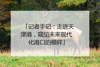 记者手记：走进天津港，窥见未来现代化港口的模样