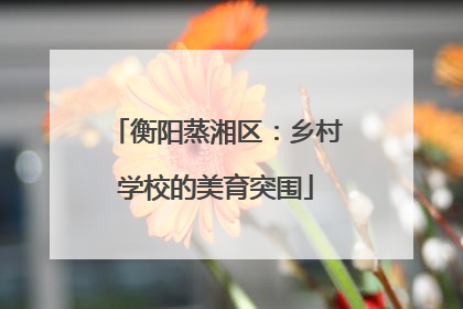 衡阳蒸湘区：乡村学校的美育突围