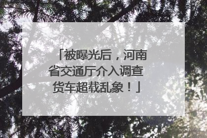 被曝光后，河南省交通厅介入调查货车超载乱象！