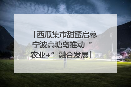 西瓜集市甜蜜启幕 宁波高塘岛推动“农业+”融合发展