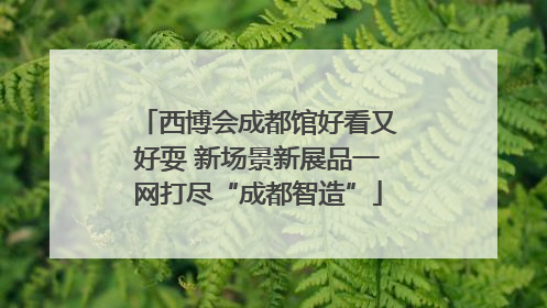 西博会成都馆好看又好耍 新场景新展品一网打尽“成都智造”