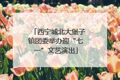 西宁城北大堡子镇团委举办迎“七一”文艺演出
