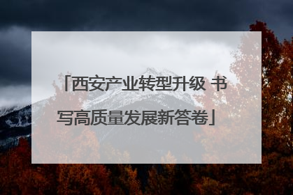 西安产业转型升级 书写高质量发展新答卷