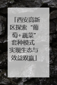 西安高新区探索“葡萄+蔬菜”套种模式 实现生态与效益双赢