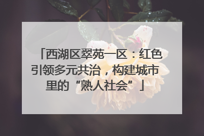 西湖区翠苑一区：红色引领多元共治，构建城市里的“熟人社会”