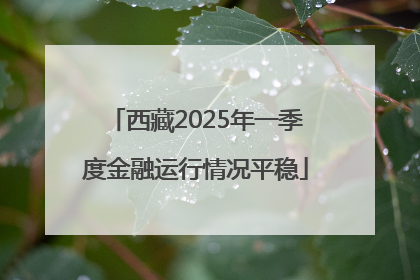 西藏2025年一季度金融运行情况平稳