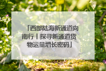 西部陆海新通道向南行丨探寻新通道货物运量增长密码