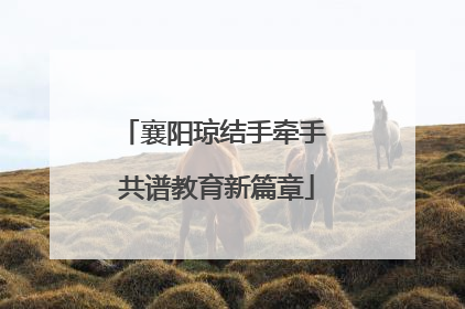襄阳琼结手牵手 共谱教育新篇章