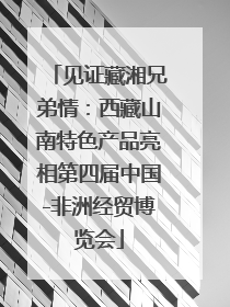 见证藏湘兄弟情：西藏山南特色产品亮相第四届中国-非洲经贸博览会