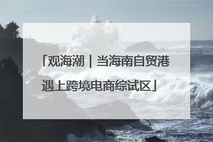 观海潮｜当海南自贸港遇上跨境电商综试区
