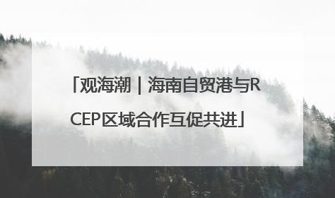 观海潮｜海南自贸港与RCEP区域合作互促共进