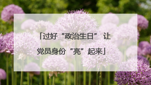 过好“政治生日” 让党员身份“亮”起来