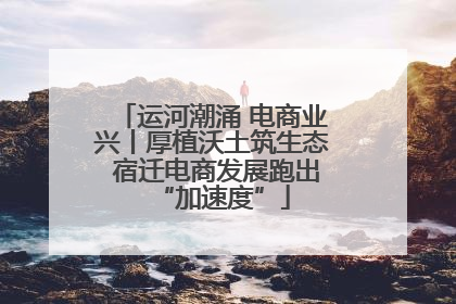 运河潮涌 电商业兴丨厚植沃土筑生态 宿迁电商发展跑出“加速度”