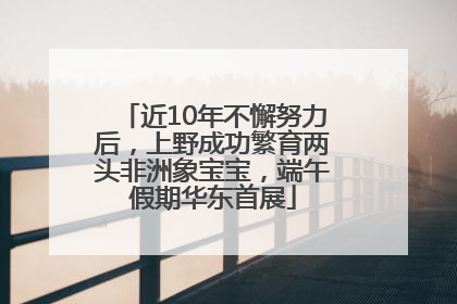 近10年不懈努力后，上野成功繁育两头非洲象宝宝，端午假期华东首展