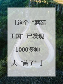 这个“蘑菇王国”已发现1000多种大“菌子”