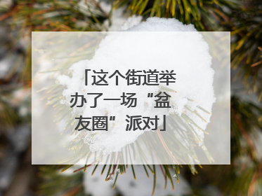 这个街道举办了一场“盆友圈”派对