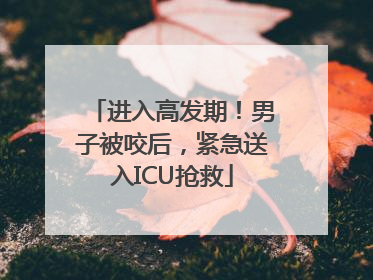 进入高发期！男子被咬后，紧急送入ICU抢救