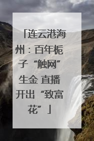 连云港海州：百年栀子“触网”生金 直播开出“致富花”
