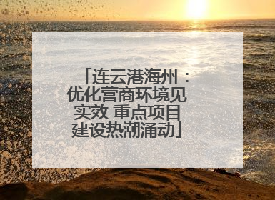 连云港海州：优化营商环境见实效 重点项目建设热潮涌动